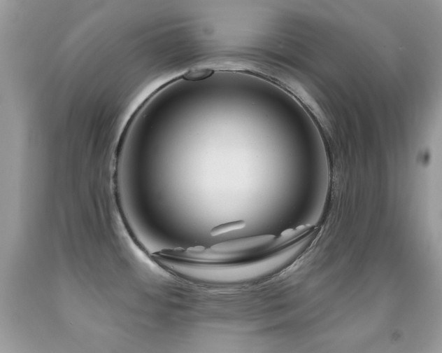 X0000092011484200709061522