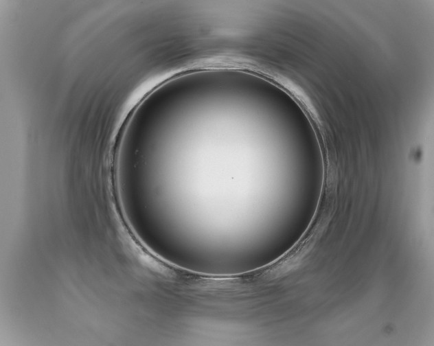 X0000092011486200709061522