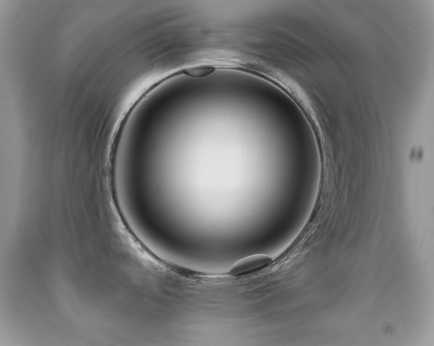 X0000092011488200709061522