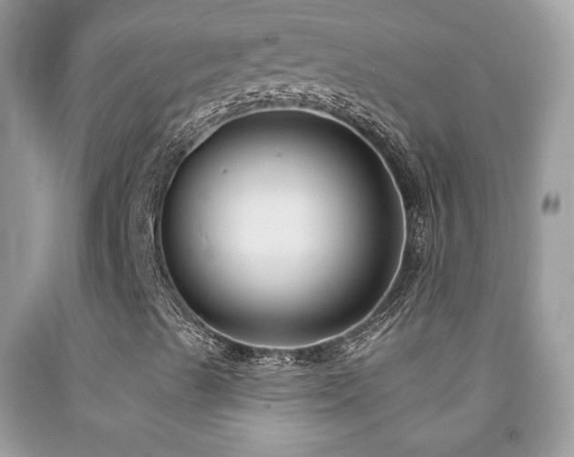 X0000092011489200709061521