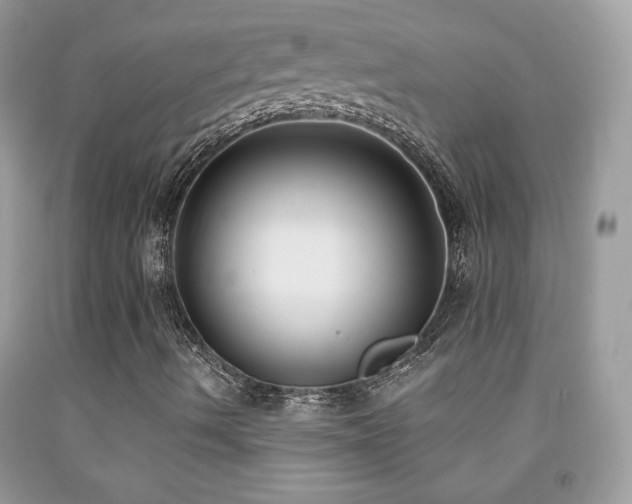X0000092011490200709061521