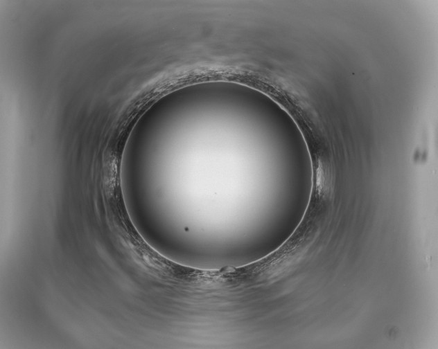 X0000092011492200709061521