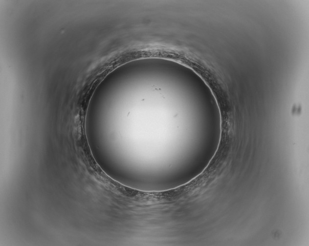X0000092011493200709061521
