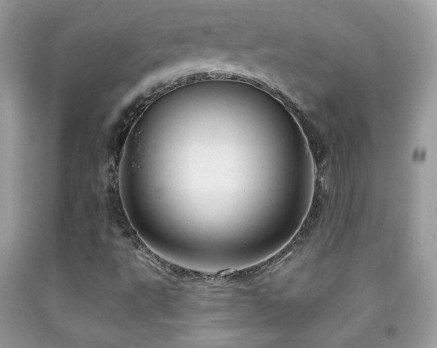 X0000092011495200709061521