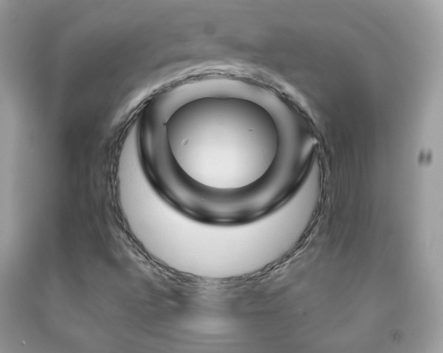 X0000092011496200709061521