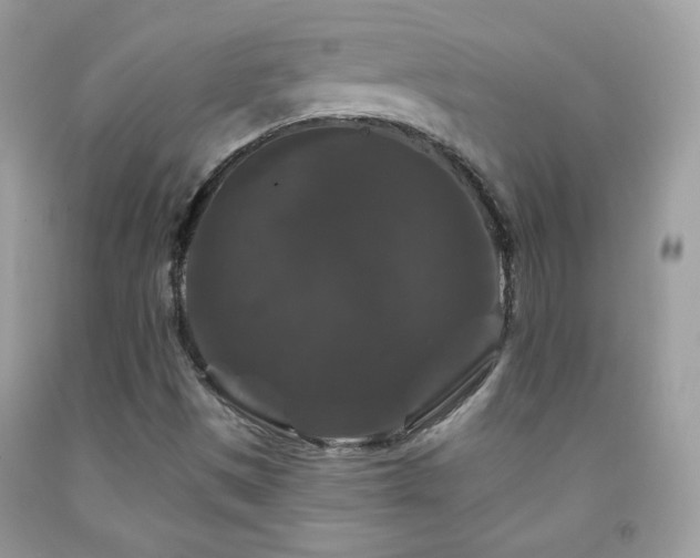 X0000092011497200709061521