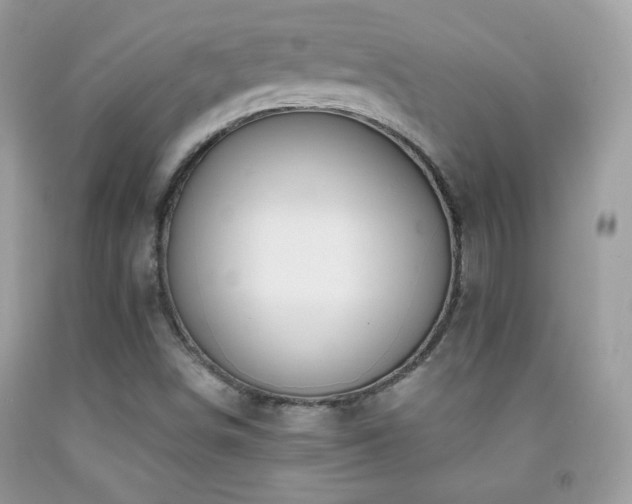 X0000092011498200709061521