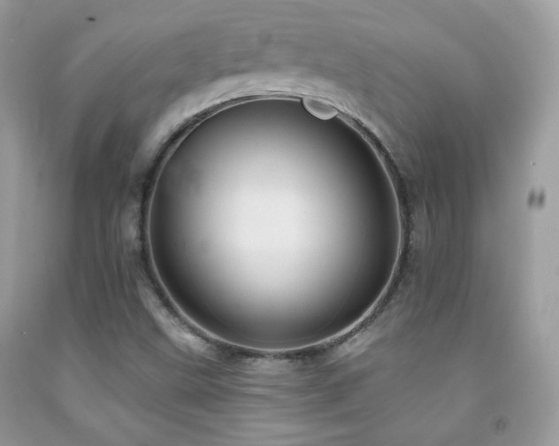 X0000092011499200709061521