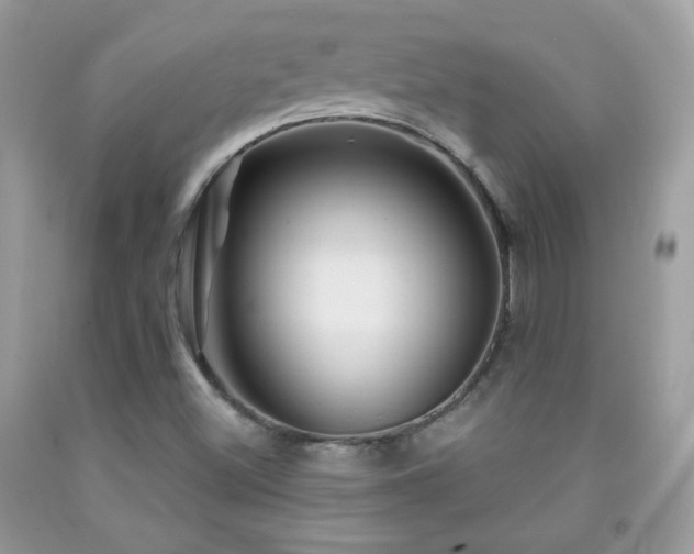X0000092011500200709061521