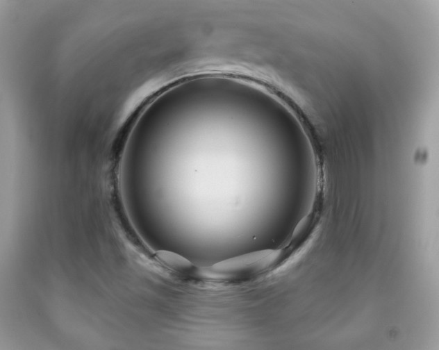 X0000092011501200709061521