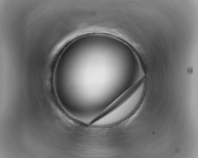 X0000092011502200709061521