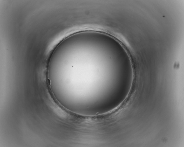 X0000092011504200709061521