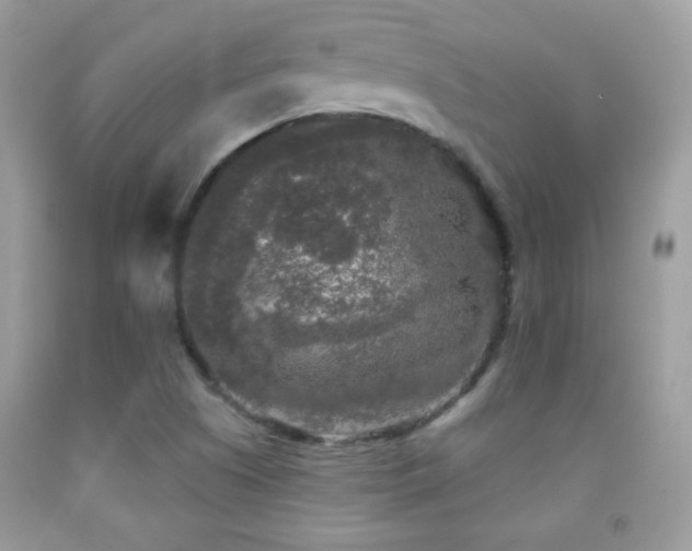 X0000092011505200709061521
