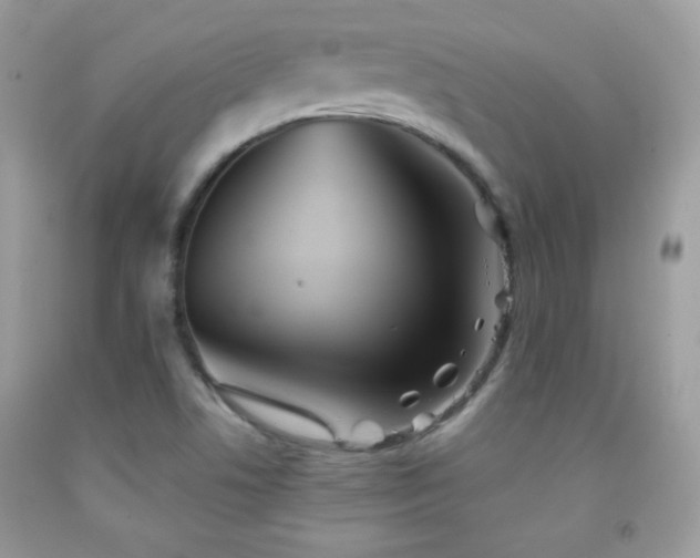 X0000092011506200709061521