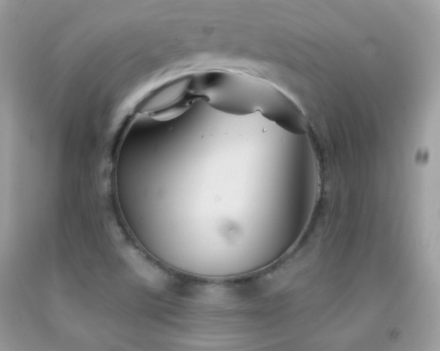 X0000092011507200709061521