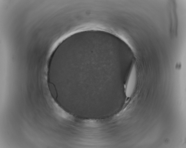 X0000092011508200709061521