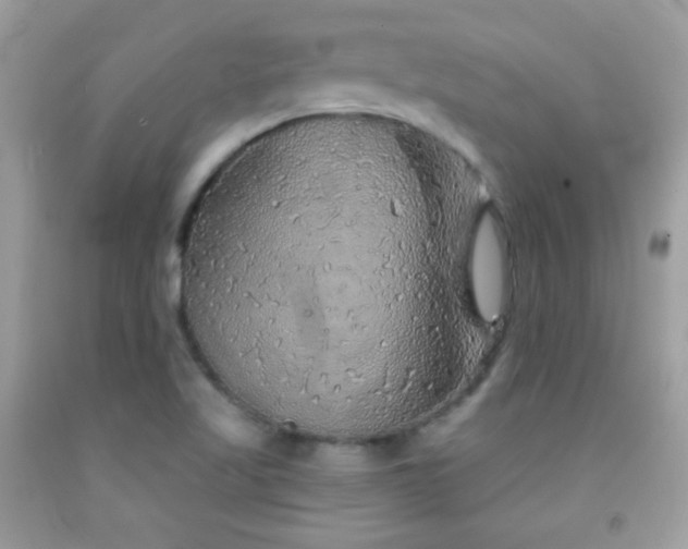 X0000092011509200709061521