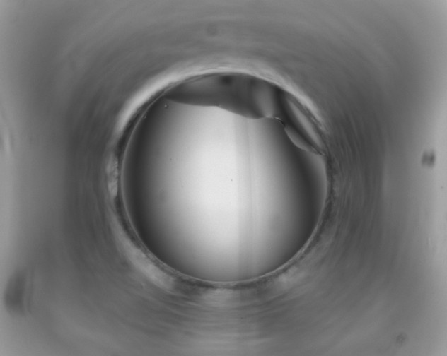 X0000092011510200709061521