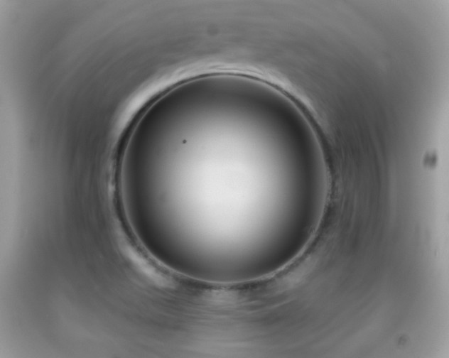 X0000092011511200709061521
