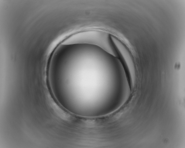 X0000092011512200709061522