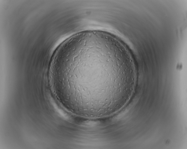 X0000092011513200709061522