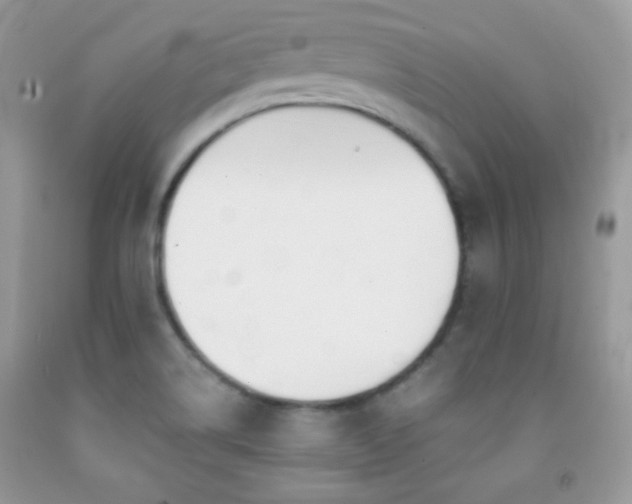 X0000092011514200709061522