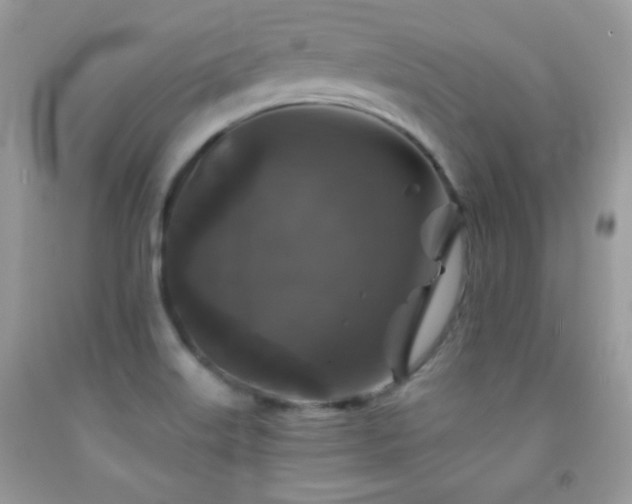 X0000092011515200709061522