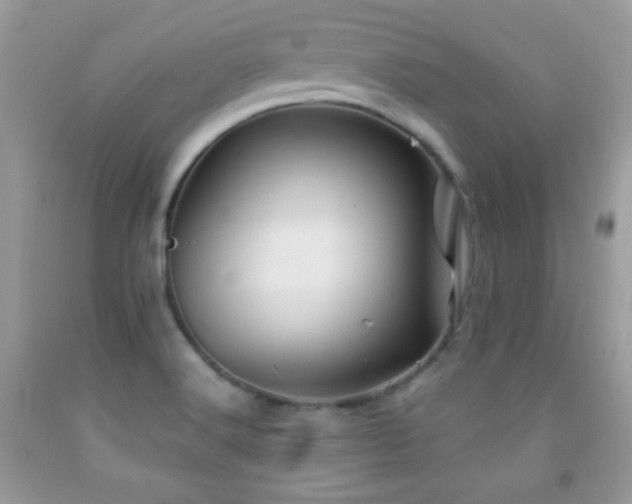 X0000092011516200709061522