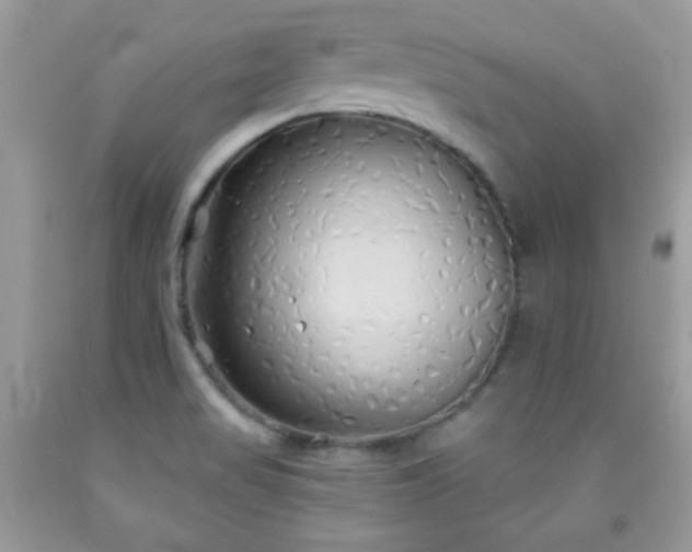X0000092011517200709061522