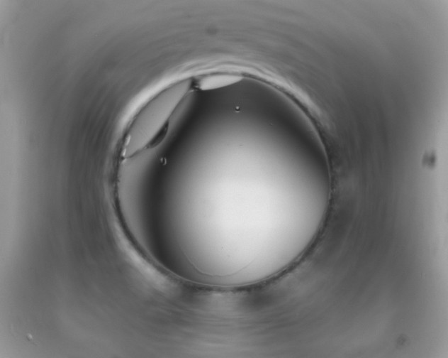 X0000092011518200709061522