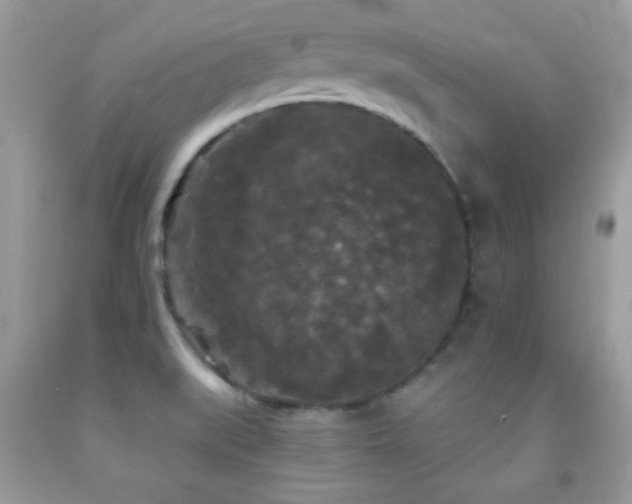 X0000092011519200709061522
