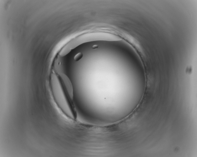 X0000092011520200709061522