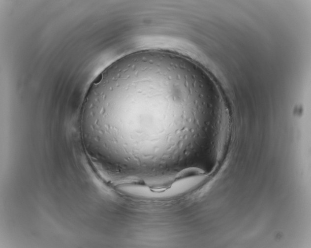 X0000092011521200709061522