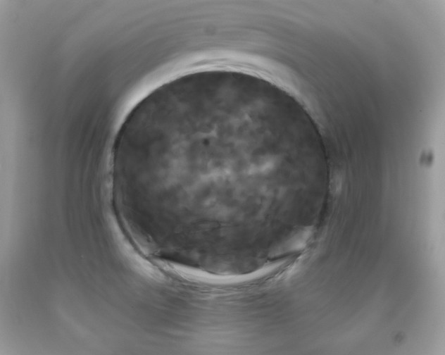 X0000092011522200709061522