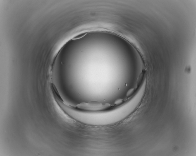 X0000092011524200709061522