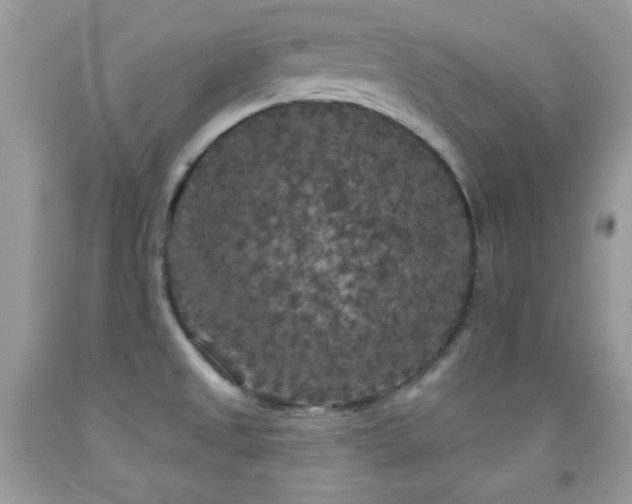 X0000092011525200709061522