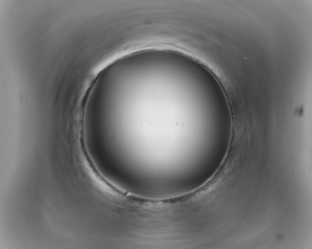 X0000092011526200709061522