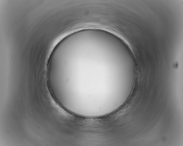 X0000092011527200709061522