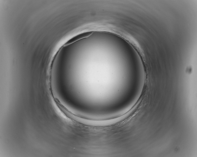 X0000092011528200709061522