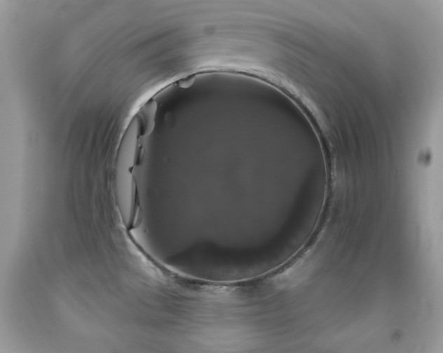X0000092011529200709061522