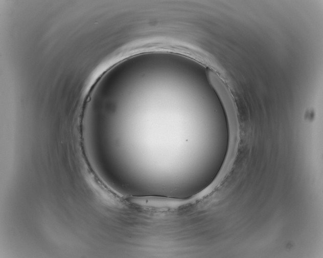 X0000092011530200709061522