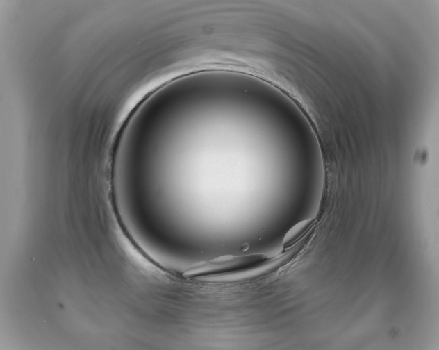 X0000092011531200709061522