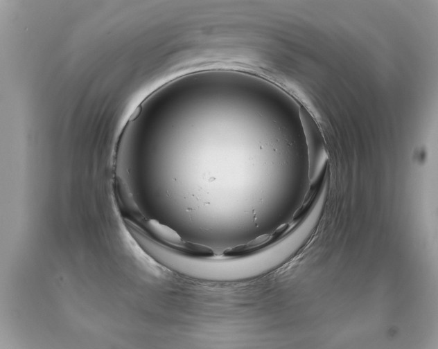 X0000092011532200709061522