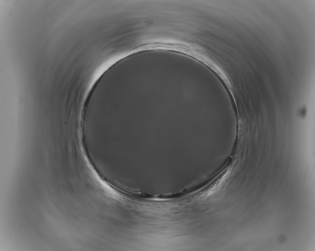 X0000092011533200709061522