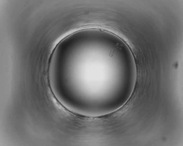 X0000092011534200709061522