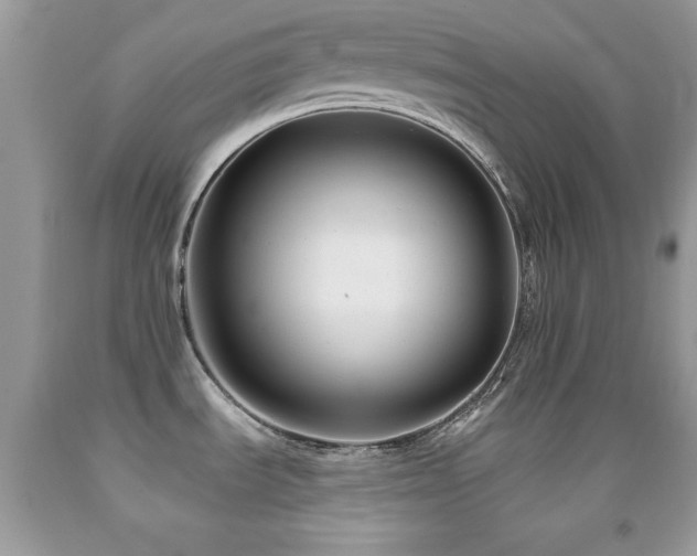 X0000092011535200709061522