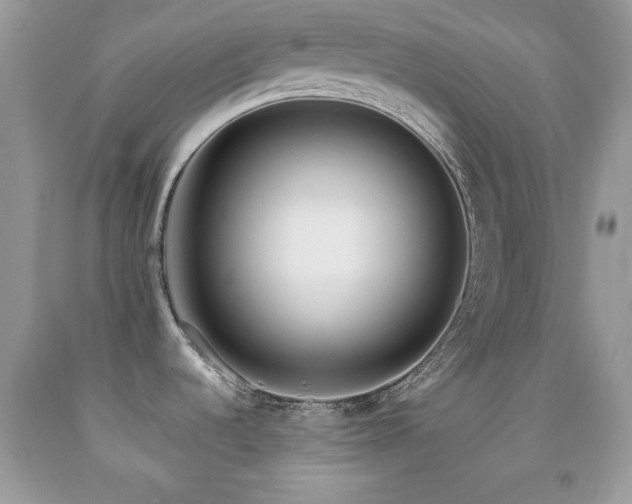 X0000092011536200709061522