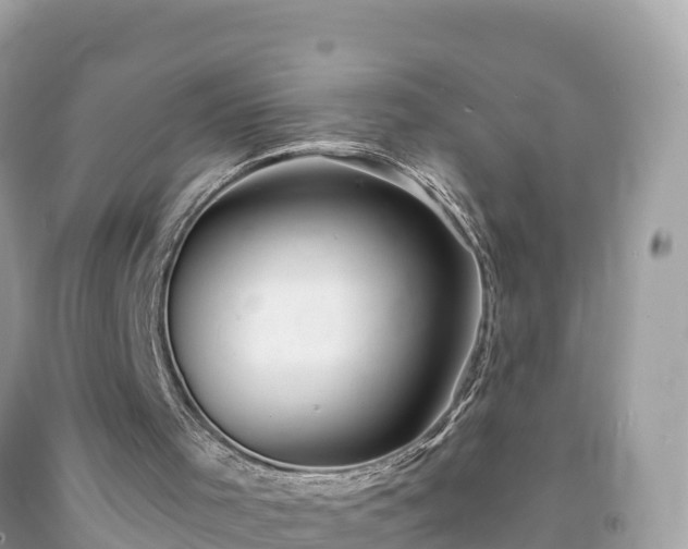 X0000092010001200709131545