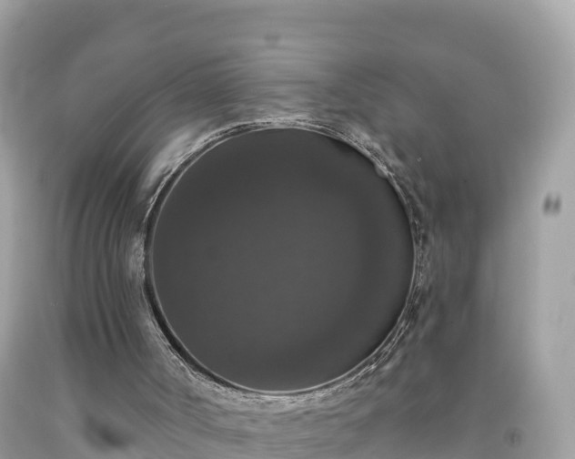 X0000092010002200709131545