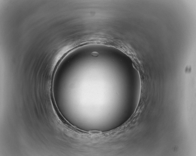 X0000092010003200709131545